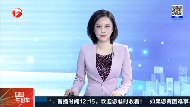 合肥:办理申请查不到 何时解决仍未知