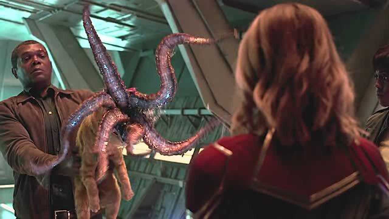 想不到吧这个橘猫其实是噬魂兽局长的眼睛就是被它弄的