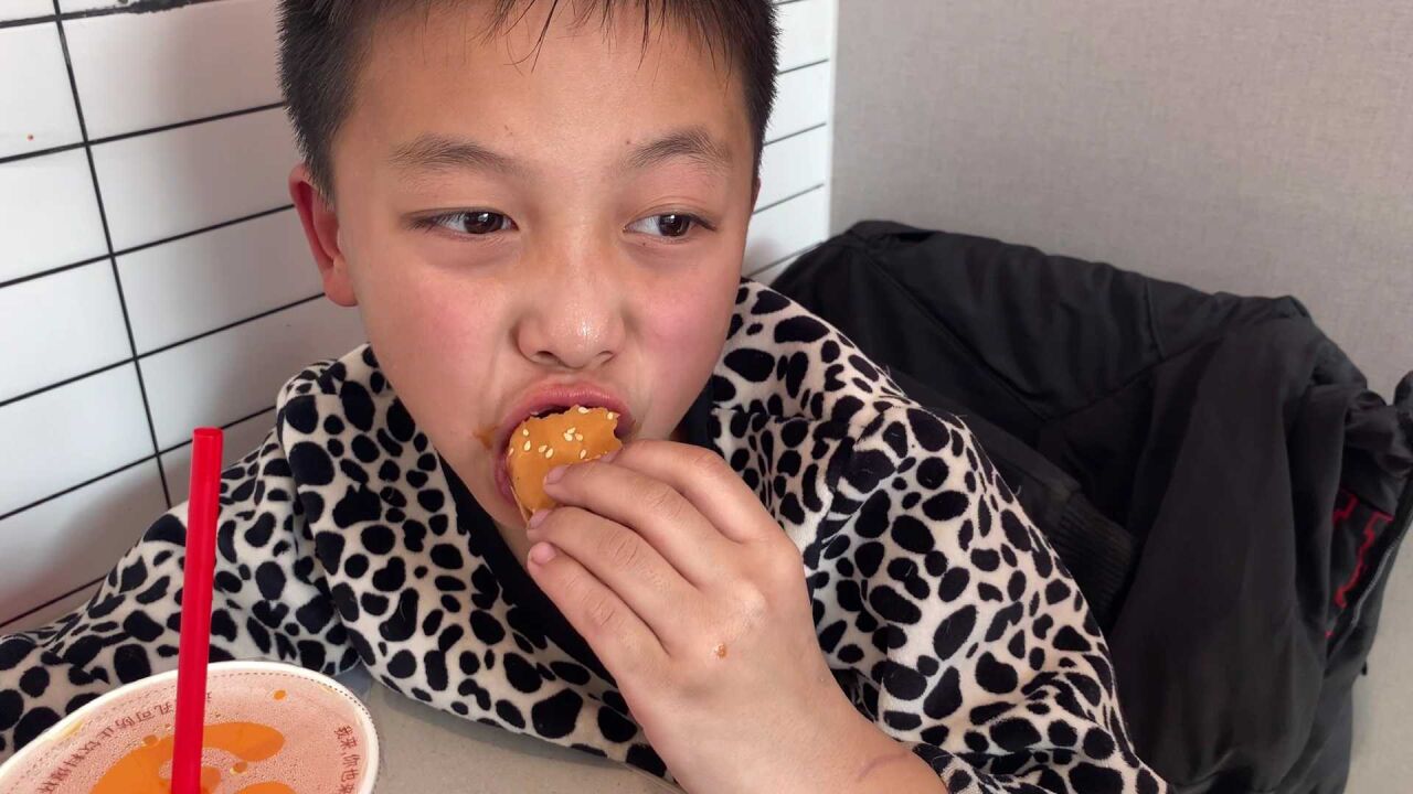 胖龙带儿子参观周口关帝庙山大的关二爷真威武吃个汉堡压压惊