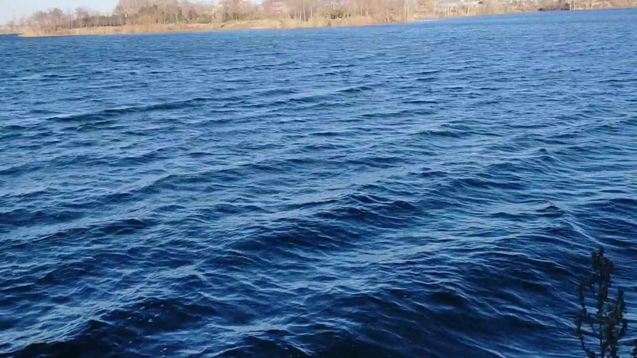 荥阳的河王水库景色很美还有可爱的野鸭子