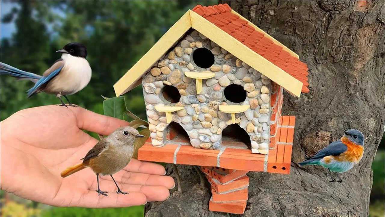 仅用硬纸板和几块石头制作安全鸟窝成品出来真是漂亮又结实