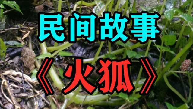 民间故事《火狐》老山沟是一个名不见经传的小山村