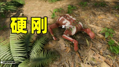 单挑荒野18:对付野人最好的方法,就是硬刚