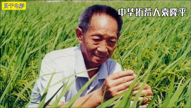 中华拓荒人!圈粉14亿国人,他才是真正的顶流《袁隆平》