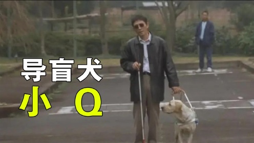 导盲犬小Q，豆瓣评分8.4， 一部感人程度不输忠犬八公的日本电影