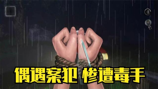 雨夜屠夫连环凶杀案 第一期