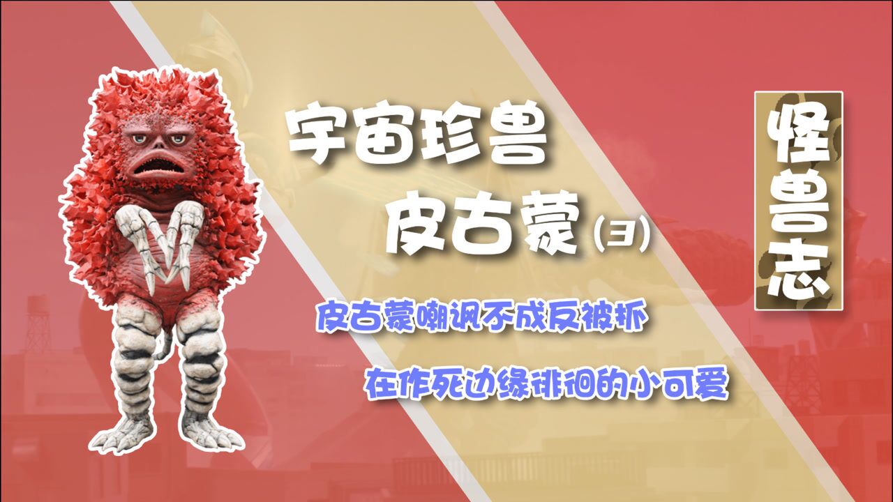 怪兽志皮古蒙为奥特曼挡枪的怪兽又傻又可爱