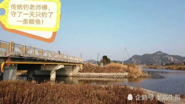 传统钓老师傅,守了一天只钓了一条鱼,东南风天气钓友们都空军了