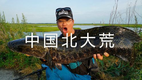 蓝旗鱼路亚 | 寻梦第10集 中国北大荒，沼泽湿地中的巨怪！