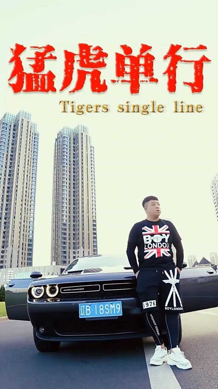 猛虎单行