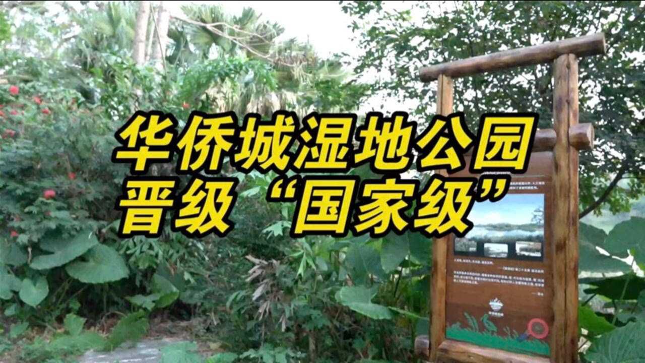 深圳唯一華僑城溼地公園成國家級溼地公園