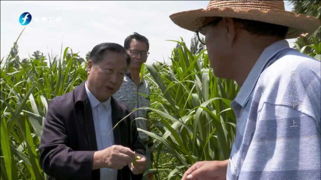 他就是《山海情》凌一农的原型,如今他仍心念闽宁村,又带新技术