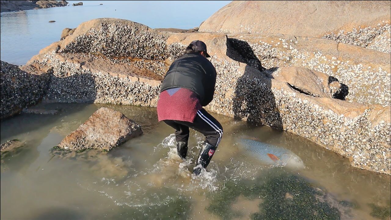 渔妹到宝地赶海,野生红鱼野生鲍鱼全都有,村里老人就爱往这儿跑