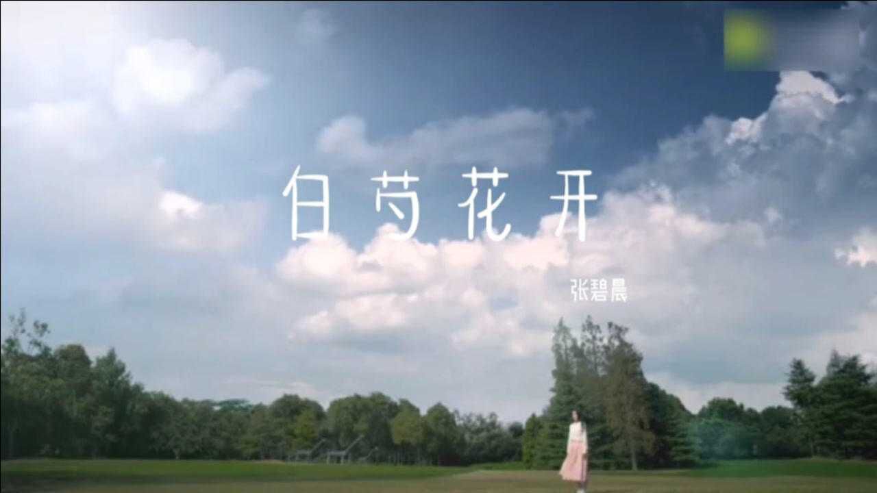张碧晨这首白芍花开太好听花花碧晨的深情你可懂