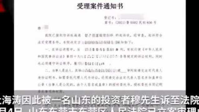 网利宝受害者起诉杜海涛