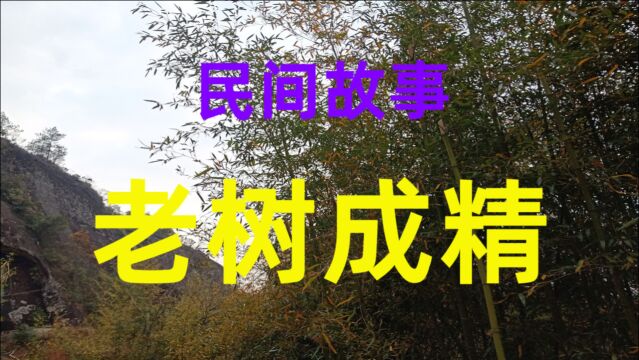 民间故事《老树成精》从前有个小伙种的甜瓜不但个大还非常甜