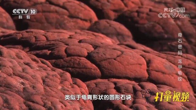 千龟山上的圆形石块究竟是如何形成的?令人费解