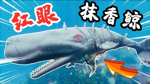 食人鲨：我的食人鲨进化成究极体形态，大战红眼抹香鲸