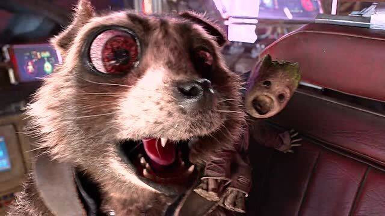 火箭浣熊真的很心疼小#格鲁特#银河护卫队#复联#漫威