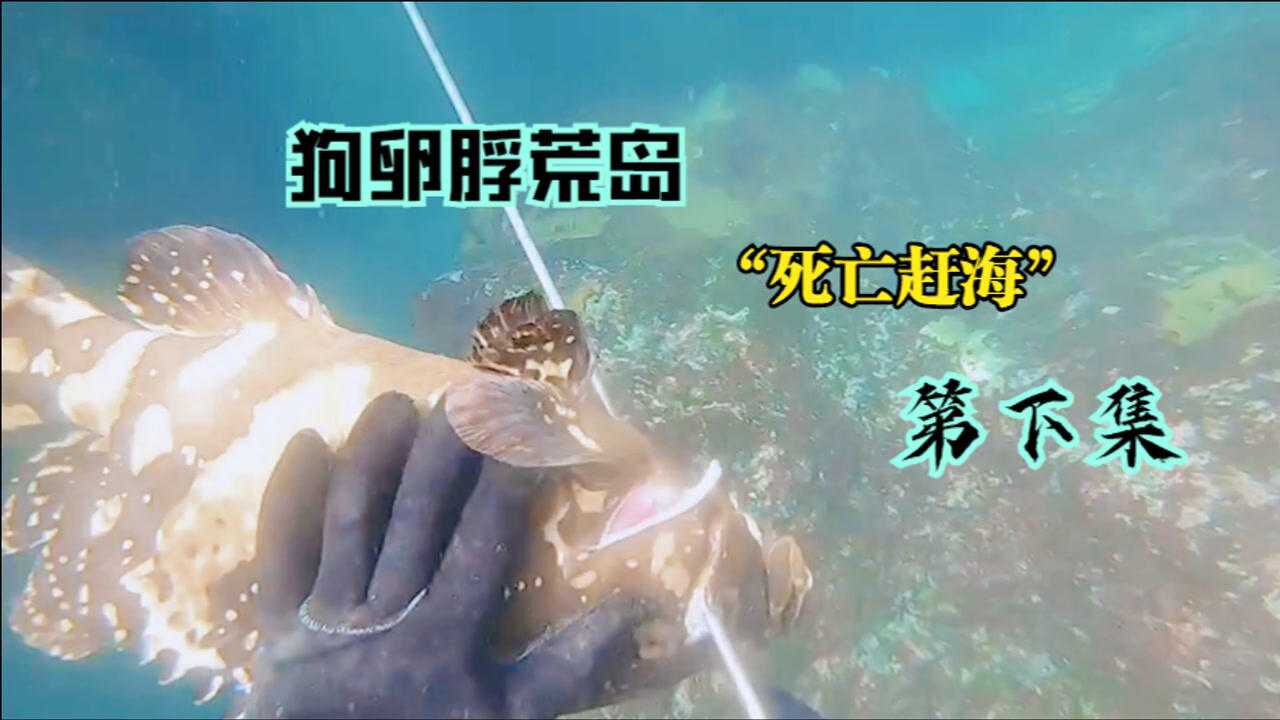 狗卵脬荒岛赶海老二责任庞大,意外一次次涌现出来直到大家上水