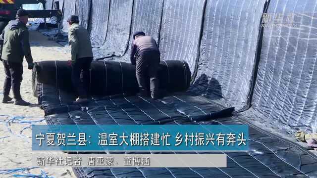 宁夏贺兰县:温室大棚搭建忙 乡村振兴有奔头