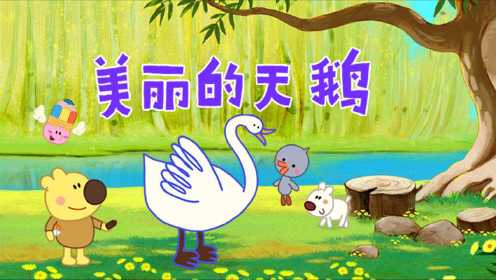 《小小画家熊小米》第29集 美丽的天鹅