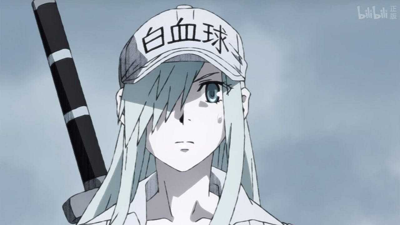 工作细胞black白细胞数目骤减免疫防线出现重大缺口