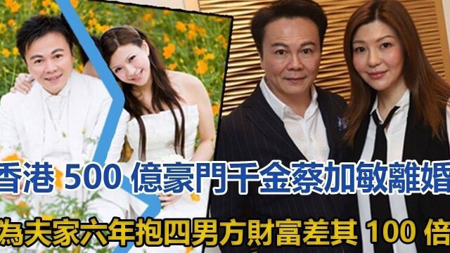 500亿豪门千金蔡加敏离婚,曾为夫家六年抱四,男方财富差其100倍