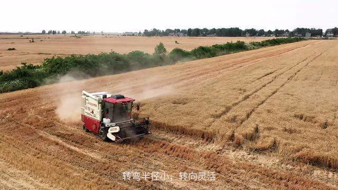 匠心智造,沃得皓龍輪式縱軸流收割機