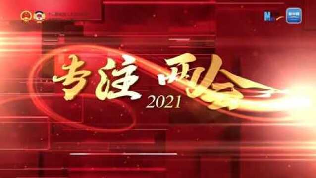 辛鸣:今年政府工作报告有三个鲜明特点