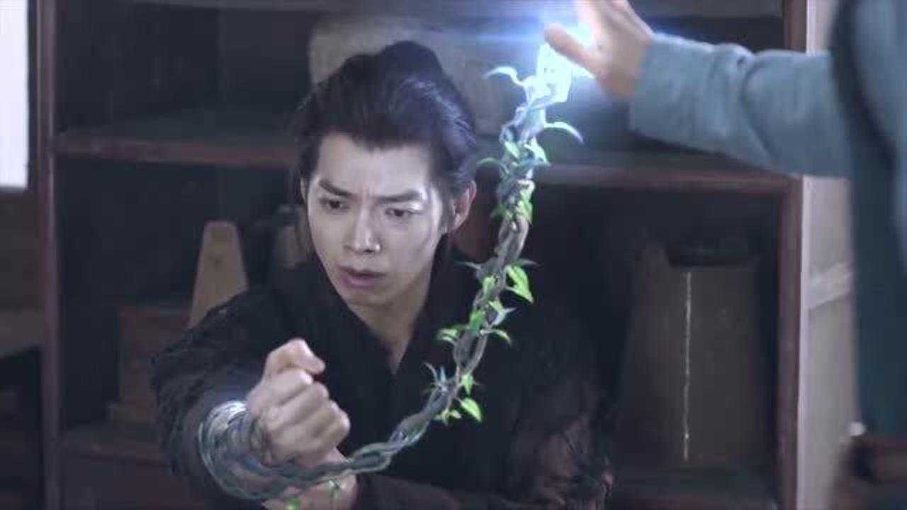 斗罗大陆真人版：唐昊真是太霸气了，为了替儿子出气一拳打死城主！_高清1080P在线观看平台_腾讯视频