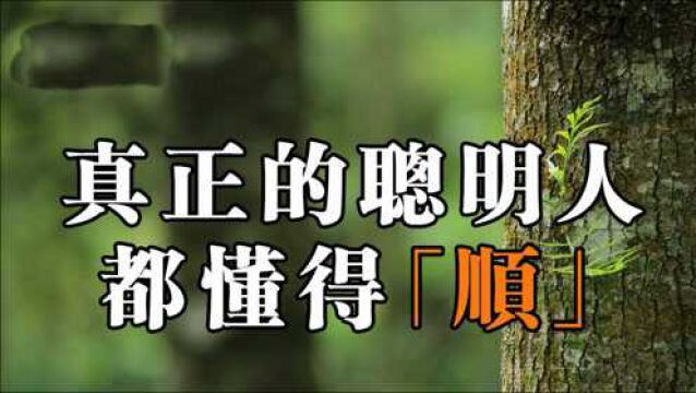 职场人生要学会顺势而为,真正的聪明就是学会顺,逆势必艰难