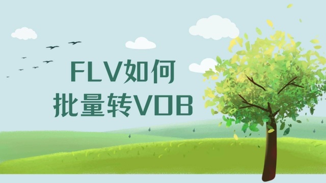 FLV怎么转换为VOB?