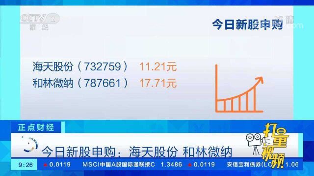 17日新股申购:海天股份、和林微纳