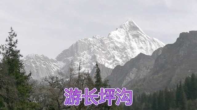 游长平沟,看四姑娘山