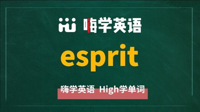 英语单词esprit是什么意思,同根词有吗,同近义词有哪些,相关短语呢,可以怎么使用,你知道吗