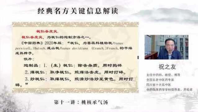 祝之友经典名方关键信息解读:桃核承气汤