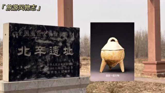 走进山东滕州博物馆,7000年前的北辛文化先民是如何生活的?