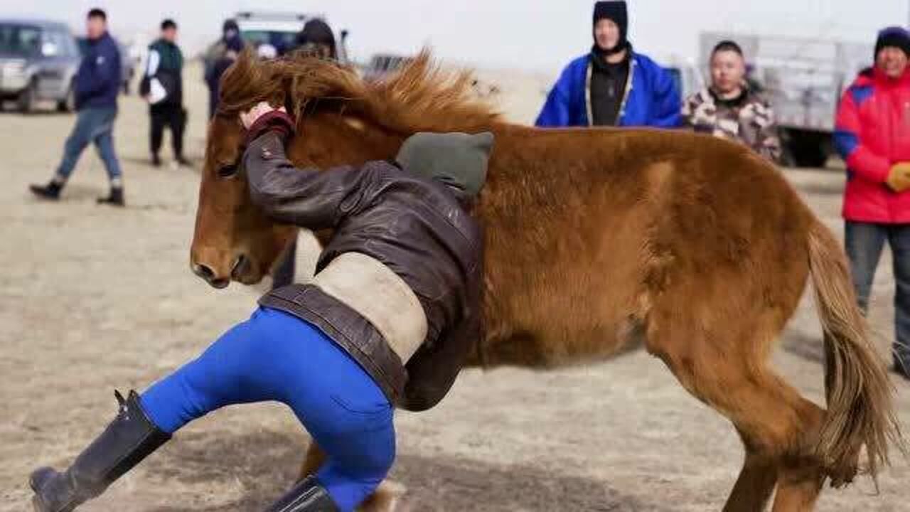 被稱為馬背上的民族,蒙古漢子這操作是在幹什麼,路過大神幫忙科普一下