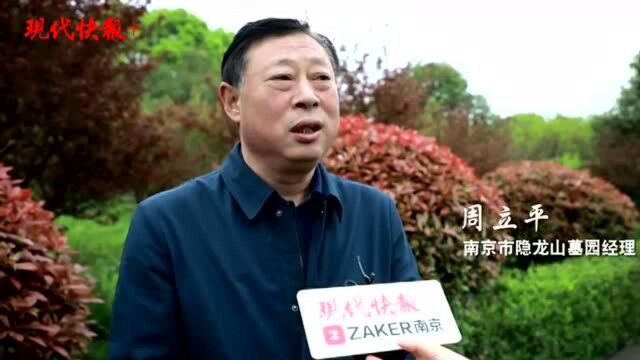 绿色清明承礼节,南京隐龙山墓园举行集体公祭仪式