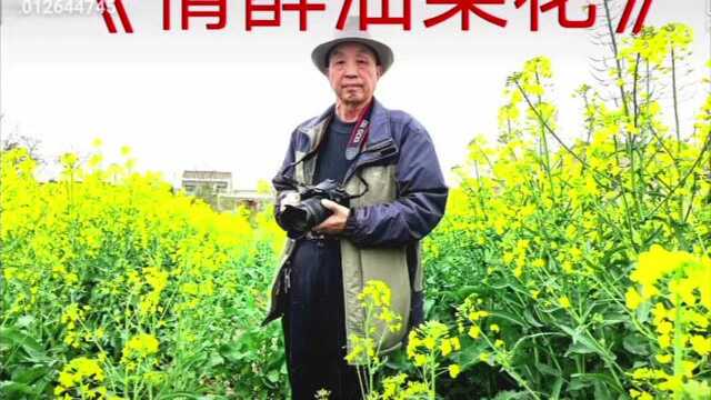 《情醉油菜花》