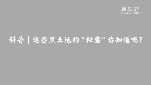 科普|这些黑土地的“秘密”你知道吗?