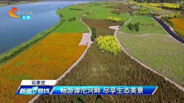 石家庄:畅游滹沱河畔,尽享生态美景