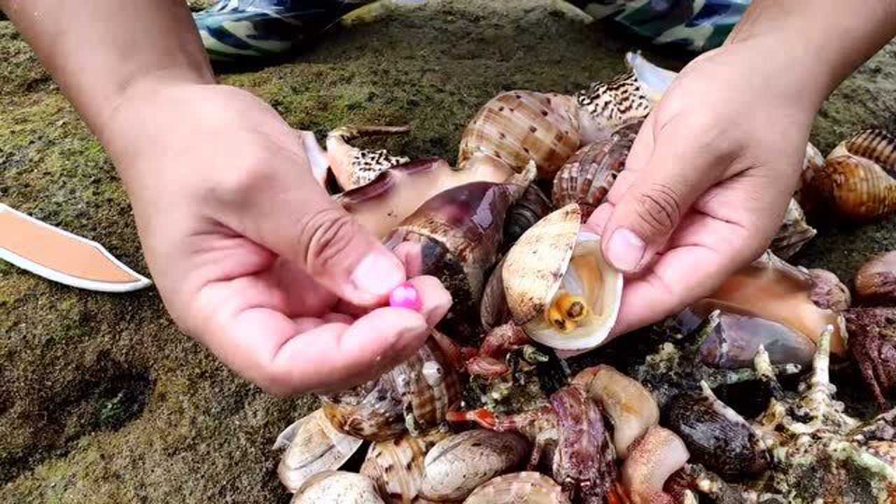 这是不是叫狗爪螺长这么大壳能卖钱