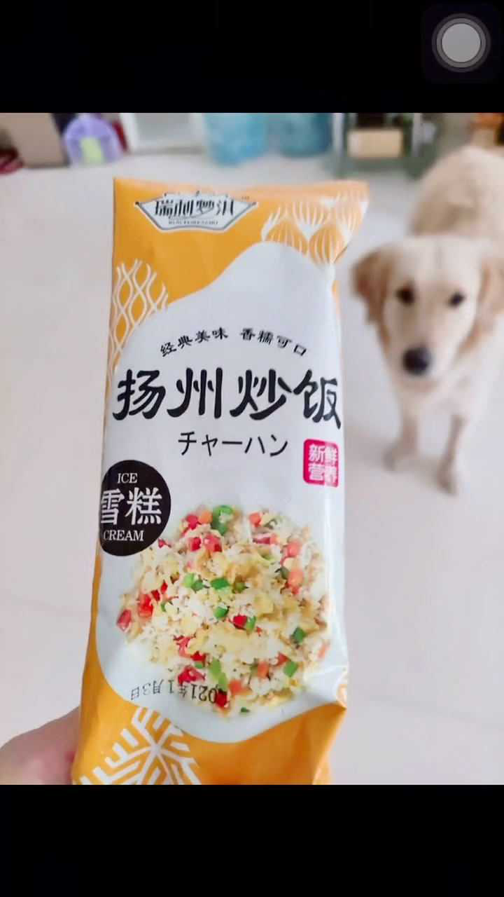 扬州炒饭都出雪糕了,果然吃起来有股葱味!