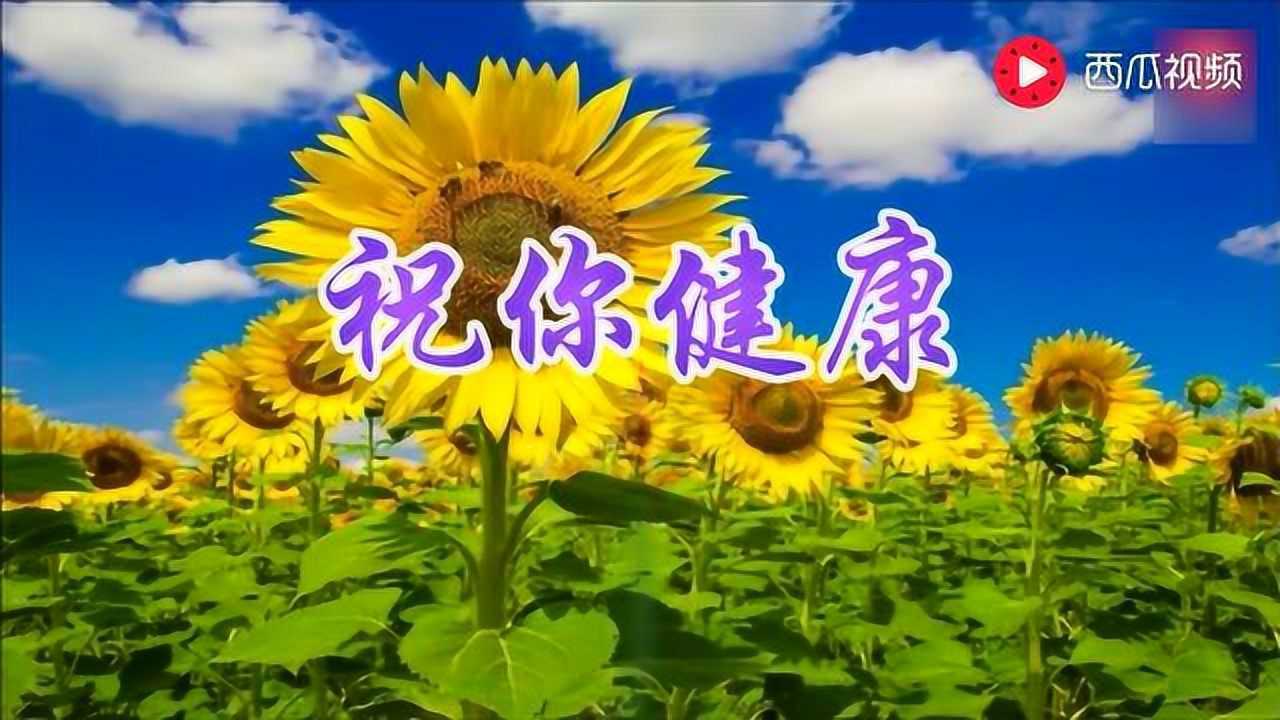 送一首最美的祝福,祝所有的老人节日快乐,身体健康