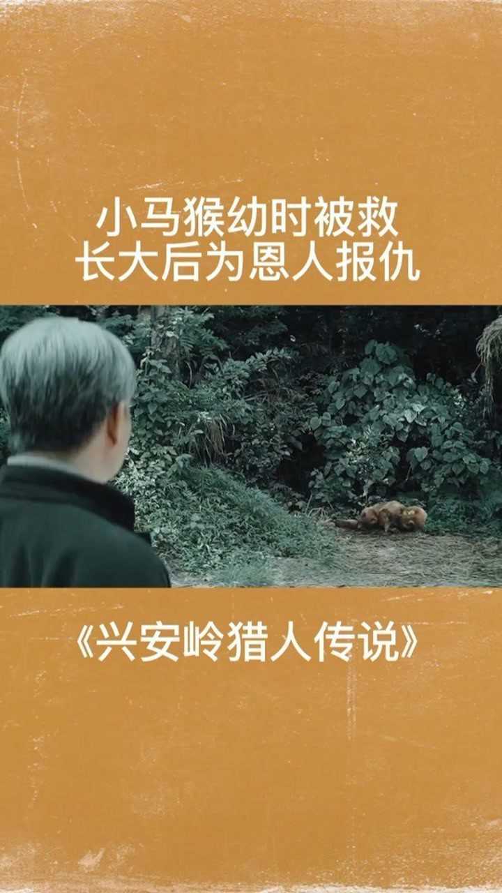 小马猴幼时被救恩人却被残忍杀害长大后独自为恩人报仇兴安岭猎人传说