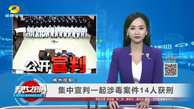 (公开宣判)郴州桂阳:集中宣判一起涉毒案件14人获刑