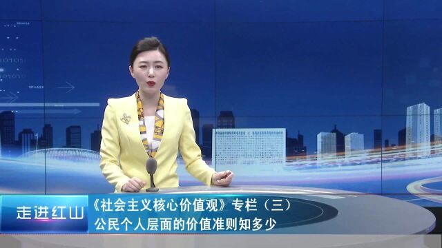 《社会主义核心价值观》(三)公民个人层面的价值准则知多少