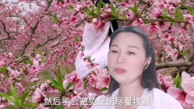 旋律非常优美的情歌,周影情感歌曲《情路茫茫》